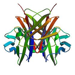 cd4_image A CD4 Molecule