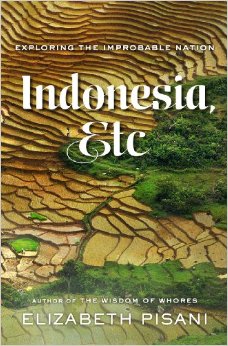 US cover of Indonesia Etc Exploring the Improbable Land by Elizabeth Pisani from WW Norton